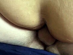 Sofie Lollipop gulps Carmona Liu cocks whole! 🍆😋