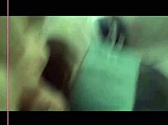 exploring vibrant viet nam culture and scenic spots