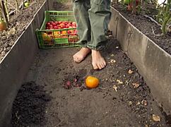 Barefoot Tomato Squashing in Dirt ASMR