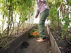 Barefoot Tomato Squashing in Dirt ASMR