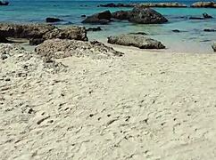extreme public bikini flashing turns into shaved pussy tease on beach and street