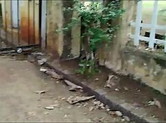 Curvy Brazilian Milf Casada Sucks Porter's Big Cock Deepthroat Then Creampies Tight Pussy at Home After Outdoor Tease