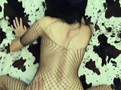 skinny milf wife in lingerie takes hardcore anal pounding