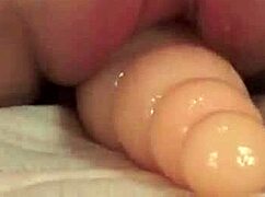 Glamorous Young Pornstar Plays With Her Tight Pussy Solo