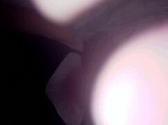 https xvideos com wife sucking whore