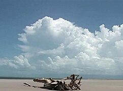 mmf outdoor threesome with hairy latina pussy