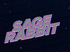 Petite hooker sage rabbit takes bryan gozzlings big cock up the ass