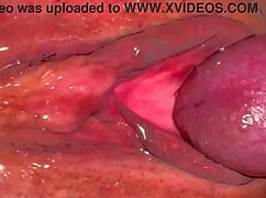 amateur pink pussy 227 days after losing her virginity