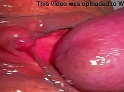 amateur pink pussy 227 days after losing her virginity